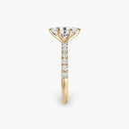 Bianca Solitaire Diamond Ring with Side Stones