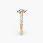 Caterina Solitaire Diamond Ring with Side Stones